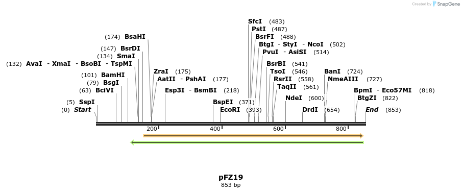 96359_map