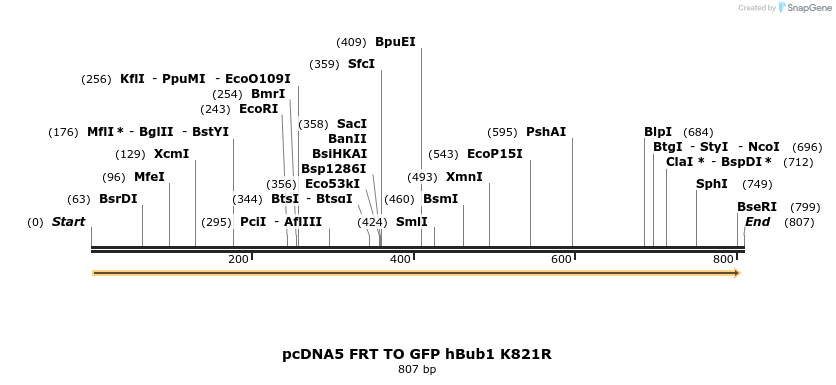 96361_map