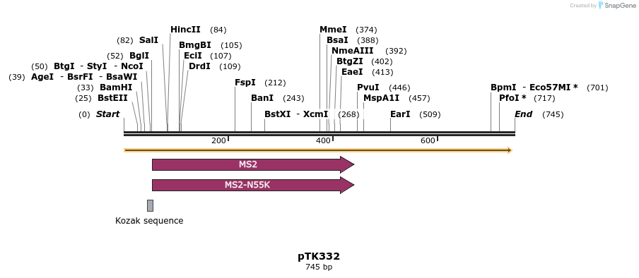 96364_map