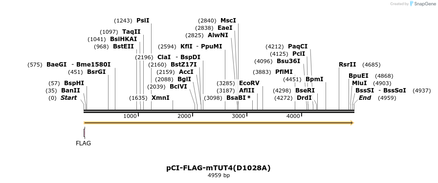 96388_map