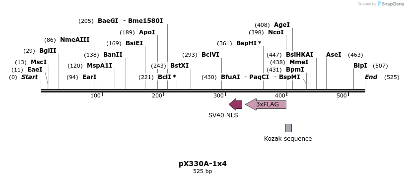 96402_map