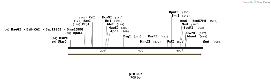 96404_map