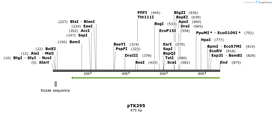 96405_map