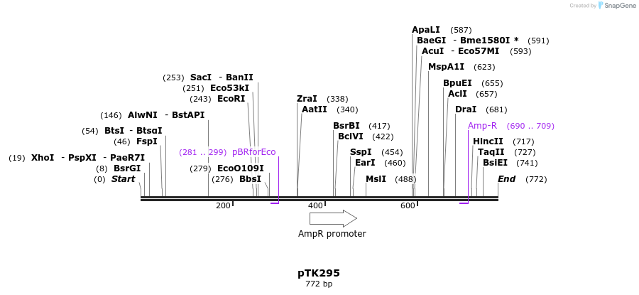 96406_map