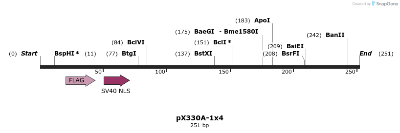 96407_map