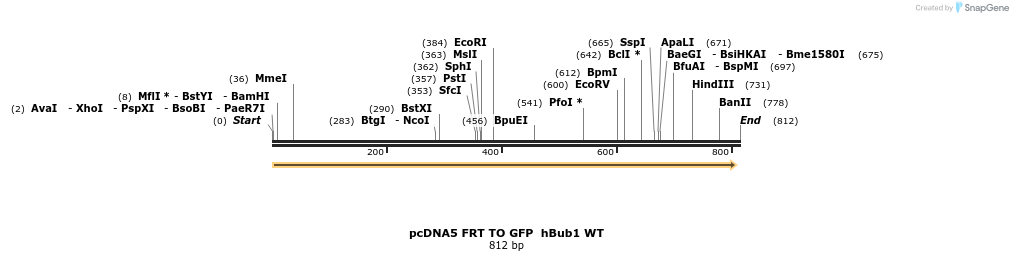96408_map