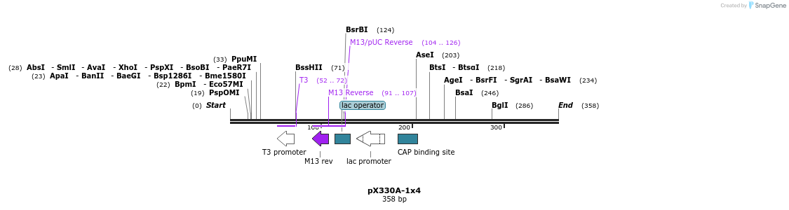 96409_map