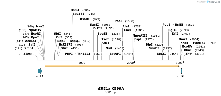 9641_map
