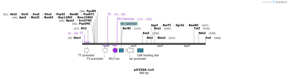 96412_map