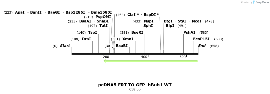 96413_map