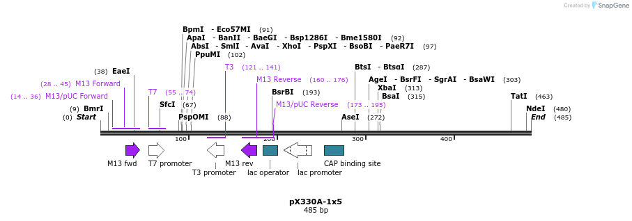 96415_map