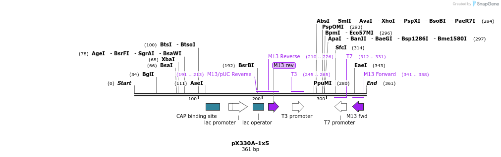 96416_map