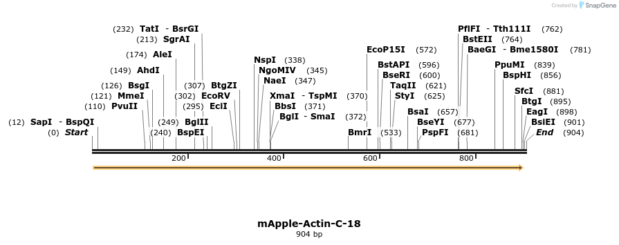 96420_map