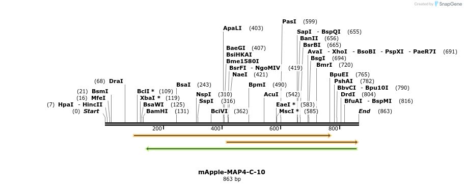 96426_map