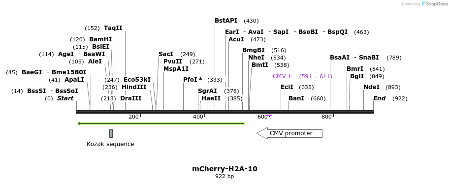96429_map