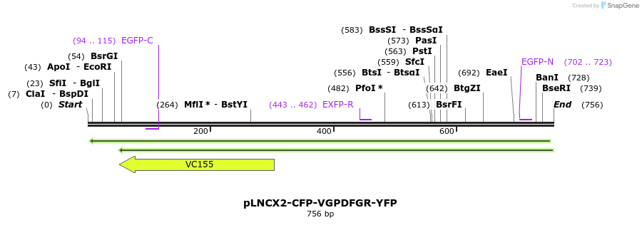 96431_map