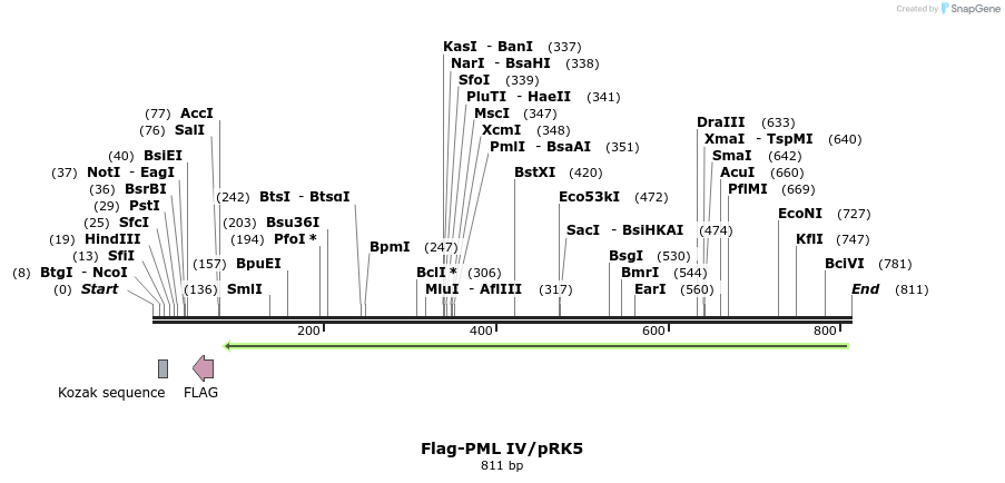 96434_map
