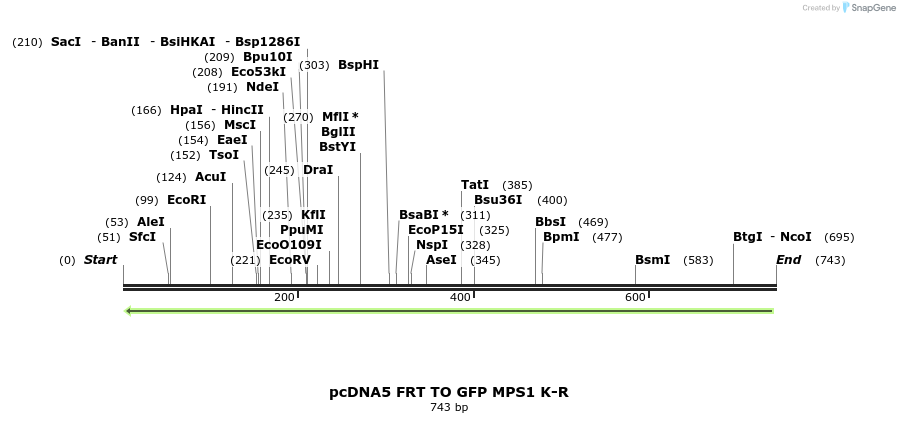 96436_map