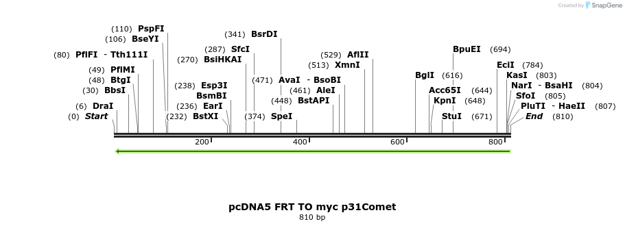 96443_map