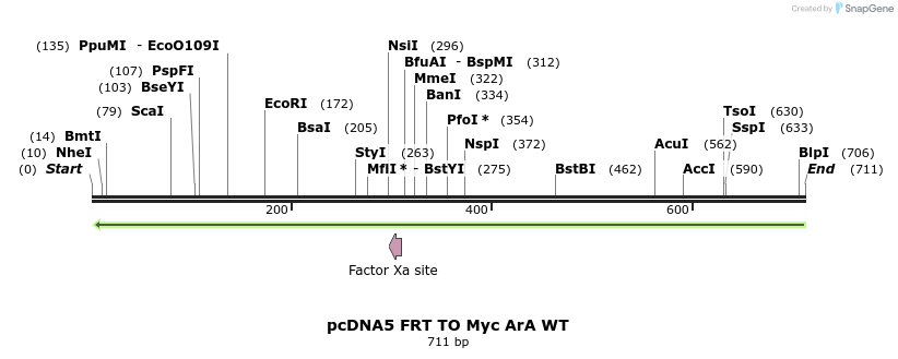 96447_map