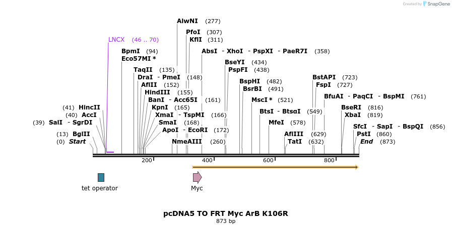 96449_map