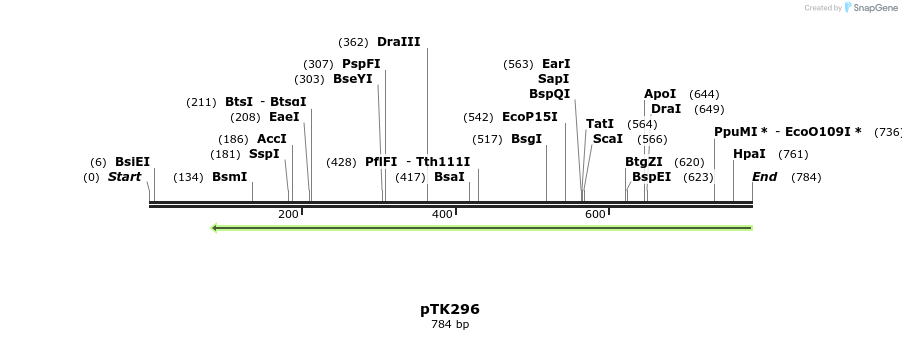 96451_map