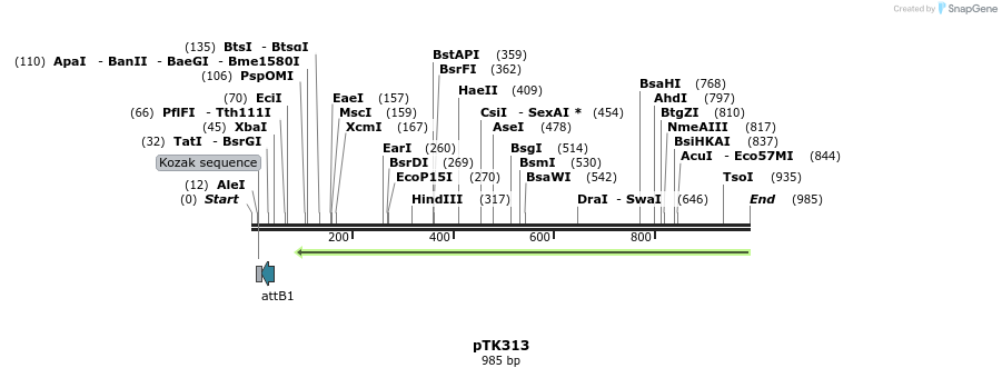 96456_map