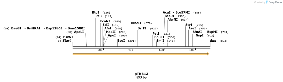 96457_map