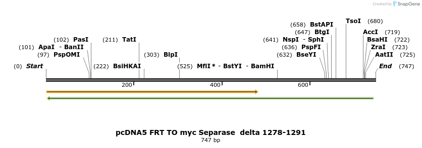 96463_map