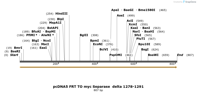 96464_map