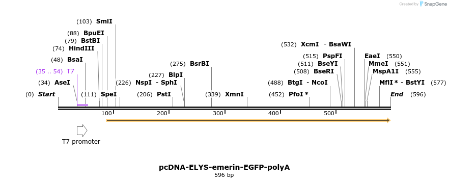96465_map