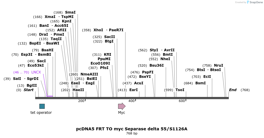 96467_map