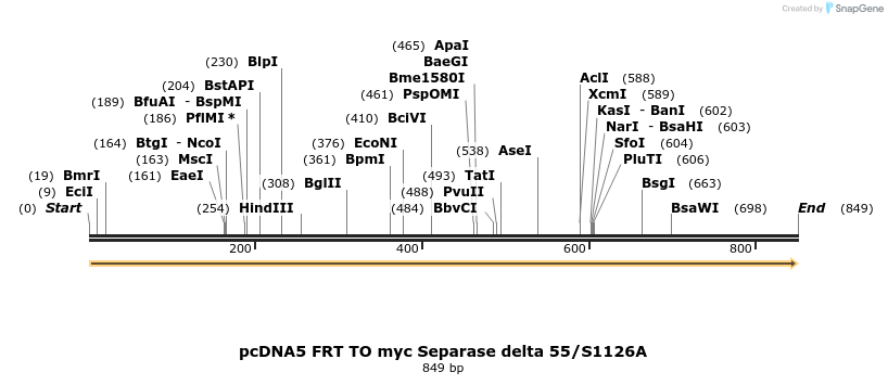 96469_map
