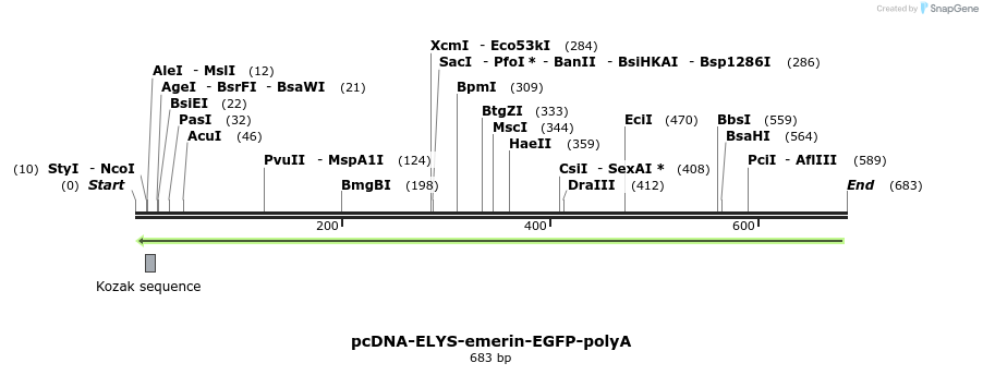 96470_map