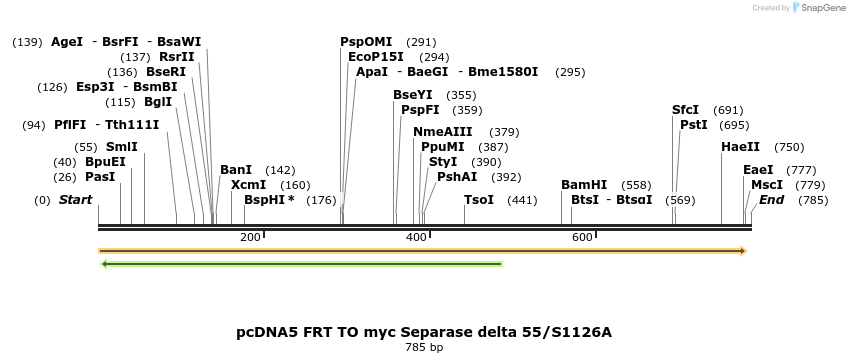 96471_map