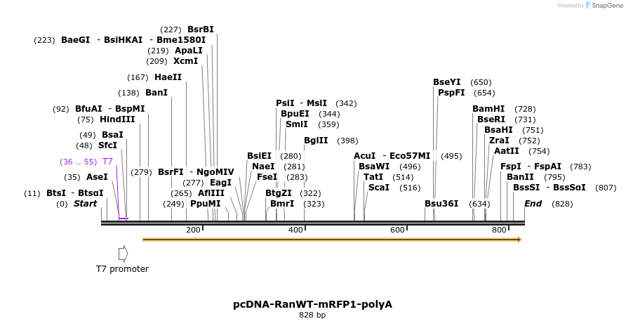 96477_map