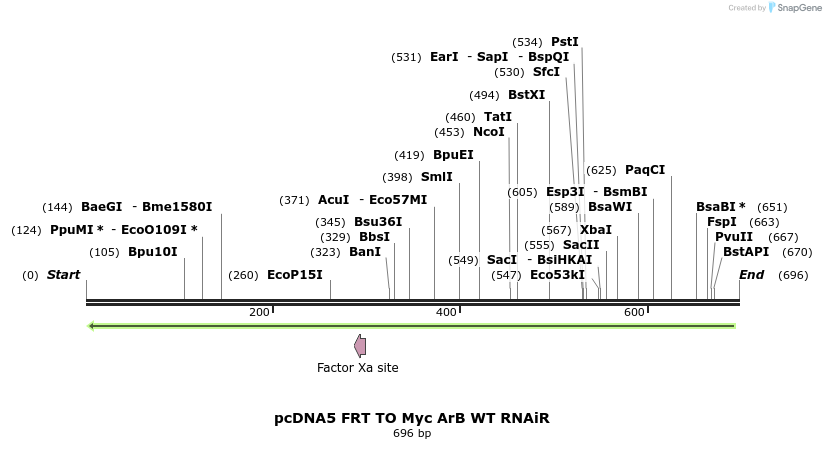 96479_map