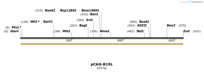 96484_map