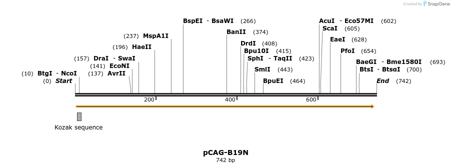 96490_map