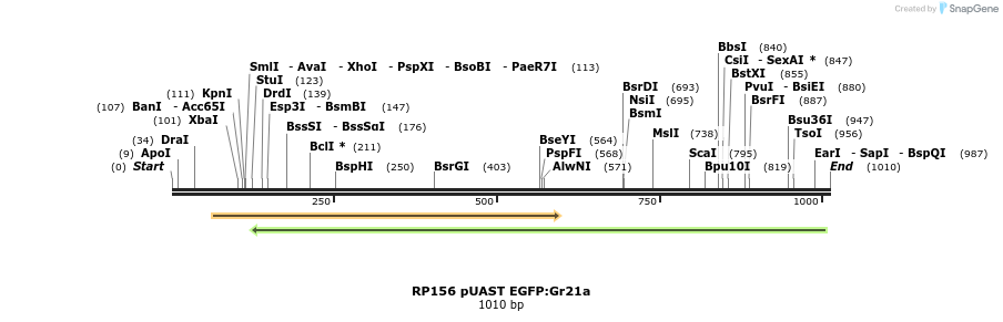 96494_map
