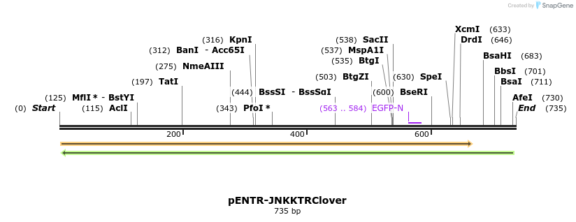 96495_map