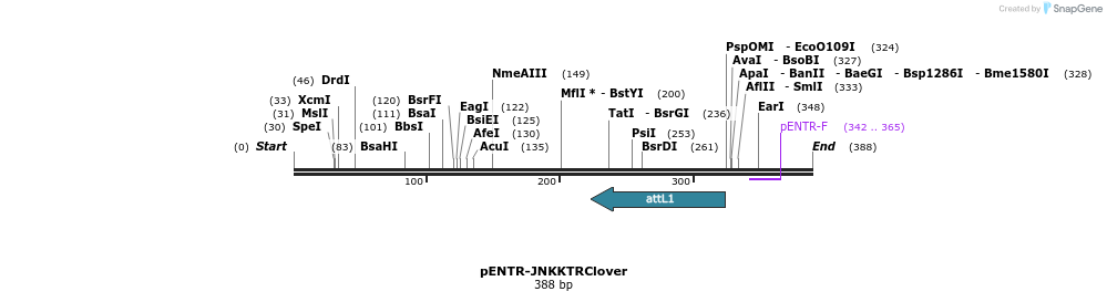 96496_map