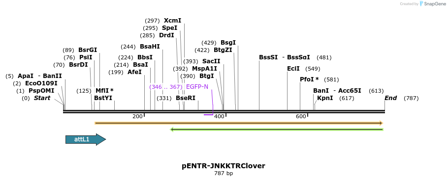 96497_map
