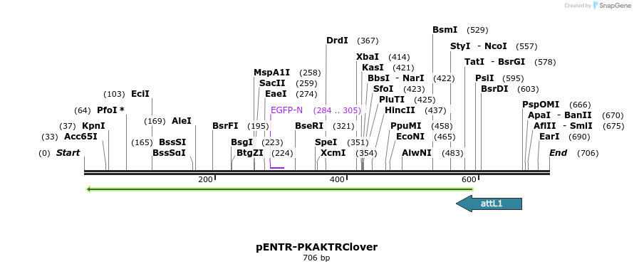 96498_map