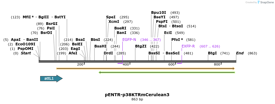 96501_map