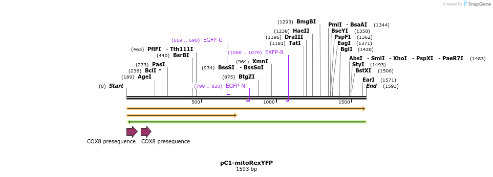 96506_map