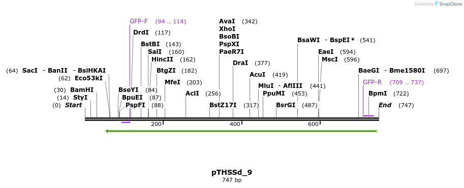 96511_map
