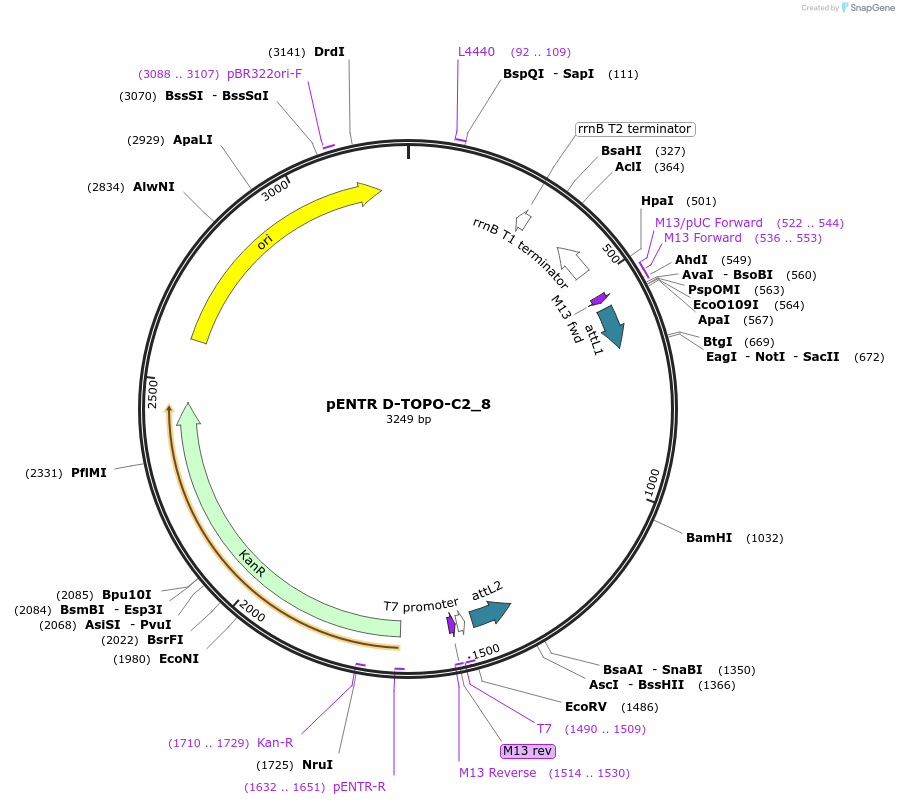 96512_map