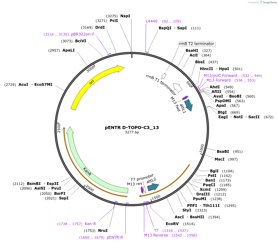 96524_map