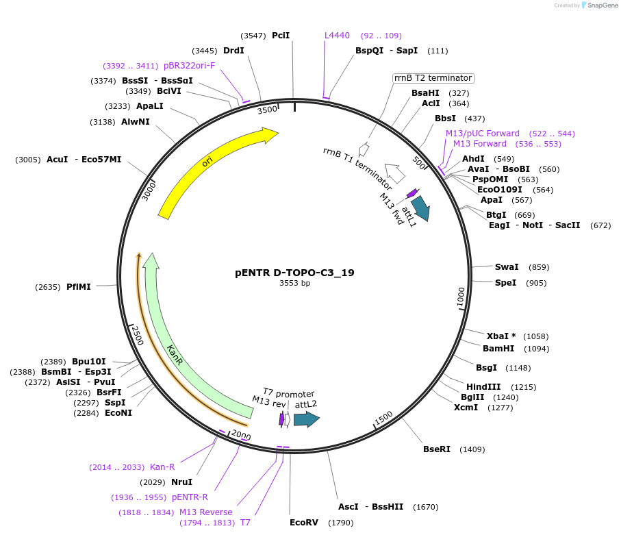 96528_map